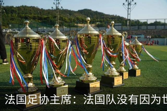 法国足协主席：法国队没有因为世界杯奖金问题而气氛紧张